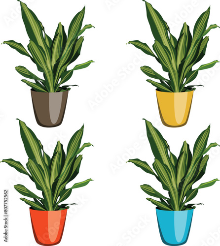 Vector office plant, 4 color types