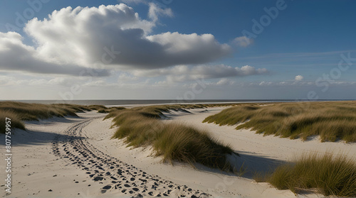 Nordsee Strand auf Langeoog , Generative.AI
