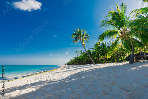 Tropical view of luxury beach on Mauritius island. © artifirsov