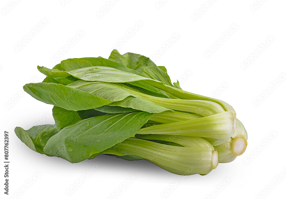 fresh mustard greens isolated on white background fresh mustard greens isolated on white background