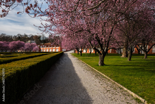 Flowering trees in the park at Troya Castle in Prague in spring
