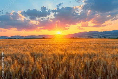 Golden Wheat Field at Sunset with Picturesque Sky and Sunburst