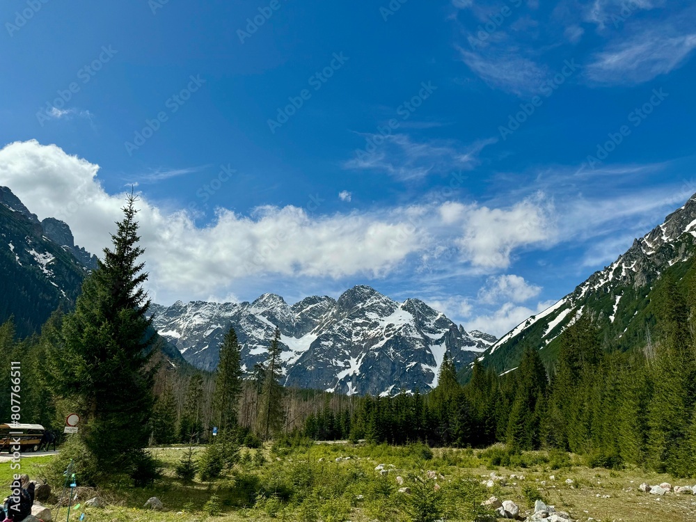 Obraz premium landscape in the mountains