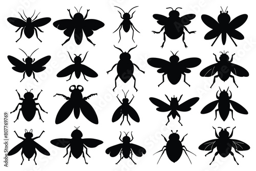 Set of Fly black Silhouette Design with white Background and Vector Illustration © mobarok8888
