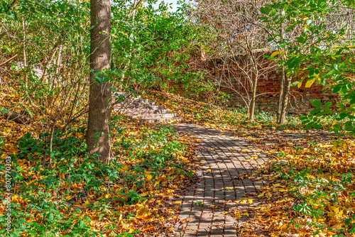 Path paved with paving stones, strewn with yellow fallen leaves, among thickets of autumn bushes rises up Pelczynski or Poznanska Hill in Lviv, Ukraine. Natural background in an abandoned city park photo