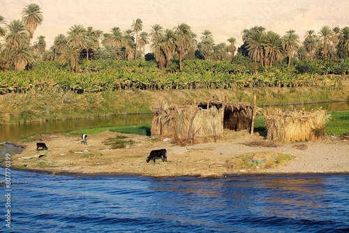 Landscape along the Nile river between Luxor and Aswan, Egypt