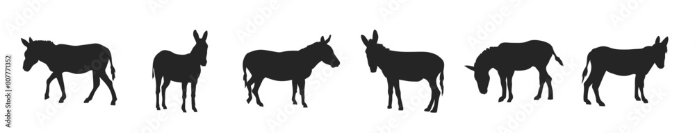 Donkey silhouette vector illustration.