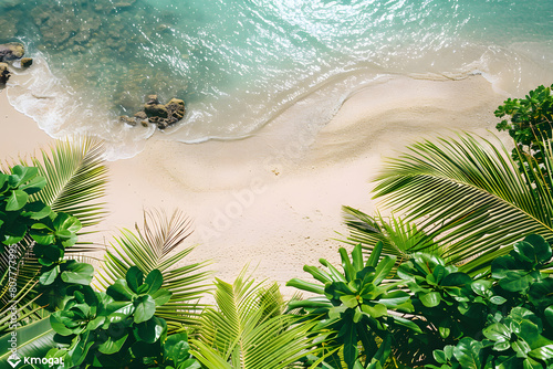 Coastline at tropical beach with palms and turquoise ocean   summertime banner mockup. Summer travel sales and vacation concept.