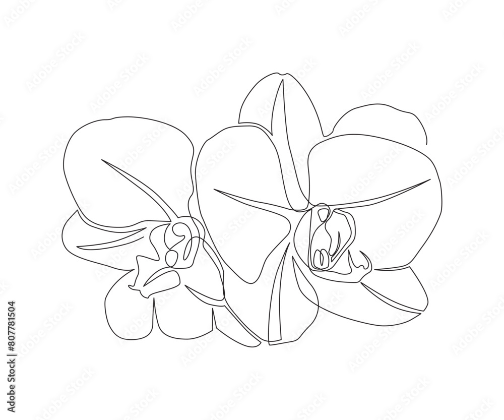 Orchid flowers. One line vector illustration on white background Orchid flowers. One line vector illustration on white background
