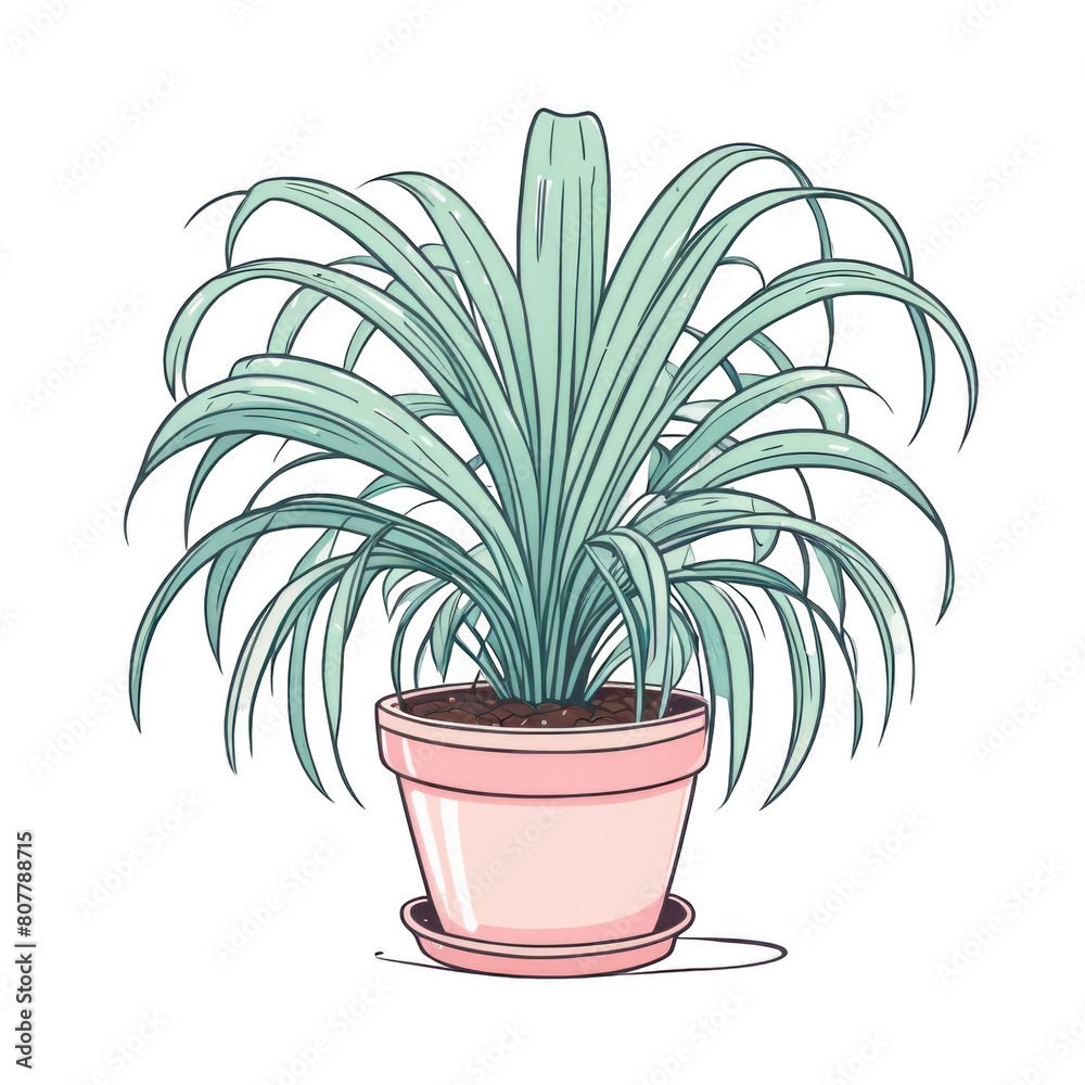 Obraz premium Potted ponytail palm plant cute kawaii style illustration clipart, indoor garden nature 