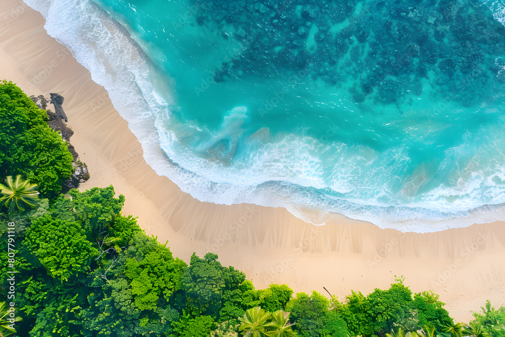 Coastline at tropical beach with palms and turquoise ocean , summertime banner mockup. Summer travel sales and vacation concept.