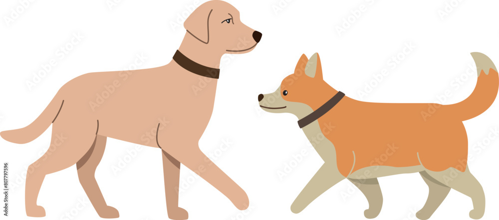 Vector illustration of two dogs. Colorful flat concept	