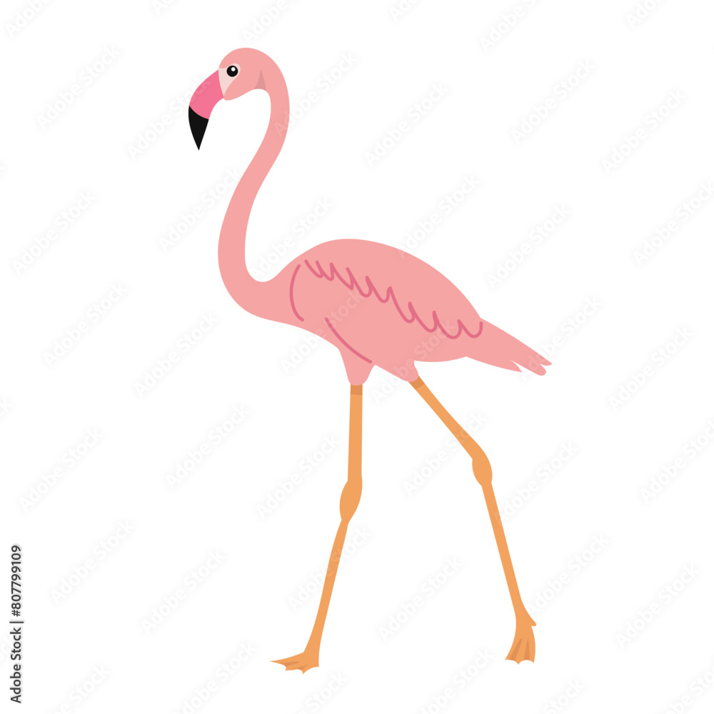 Fototapeta premium flamingo in flat style on white background vector