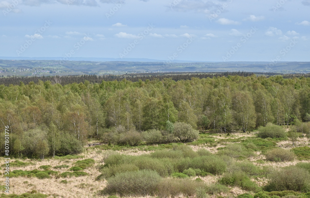 Beautiful view of the Fagne de Malchamps Beautiful view of the Fagne de Malchamps
