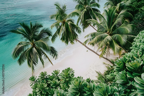 Coastline at tropical beach with palms and turquoise ocean   summertime banner mockup. Summer travel sales and vacation concept.