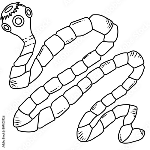 Pork tapeworm created by hand drawing photo
