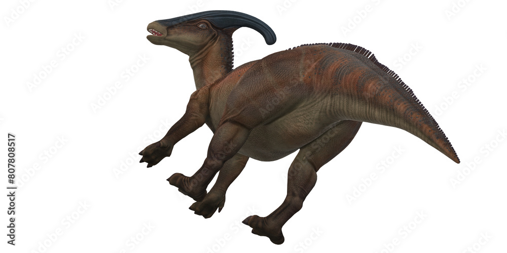 Fototapeta premium Parasaurolophus on a Transparent Background