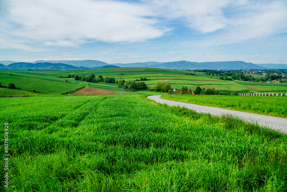 Beskid Żywiecki, widok z Pogórza Wilamowickiego. Panorama wiosną z pięknymi zielonymi łąkami i polami.