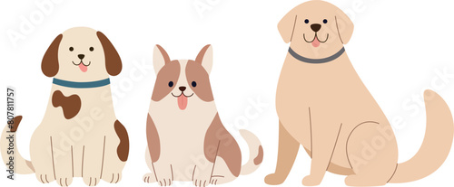 Vector illustration of three dogs sitting. Colorful flat concept