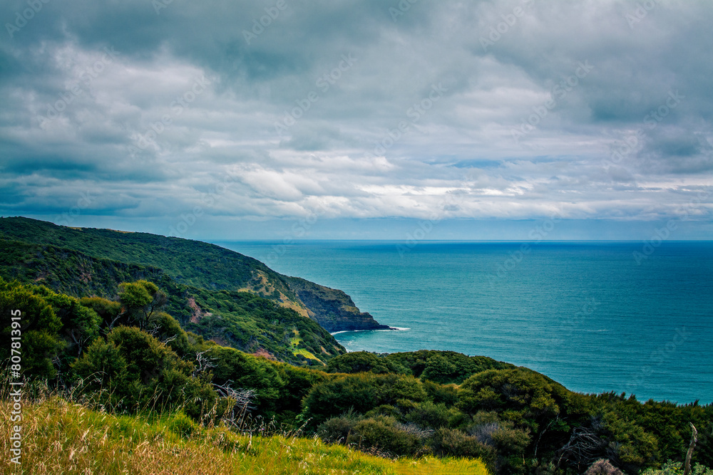 Panoramic view over high coast of Tasman Sea on an overcast summer day. High vantage point. Raglan, New Zealand