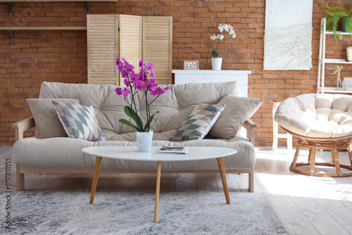 Interior of living room with sofa  armchair and orchid flower on table