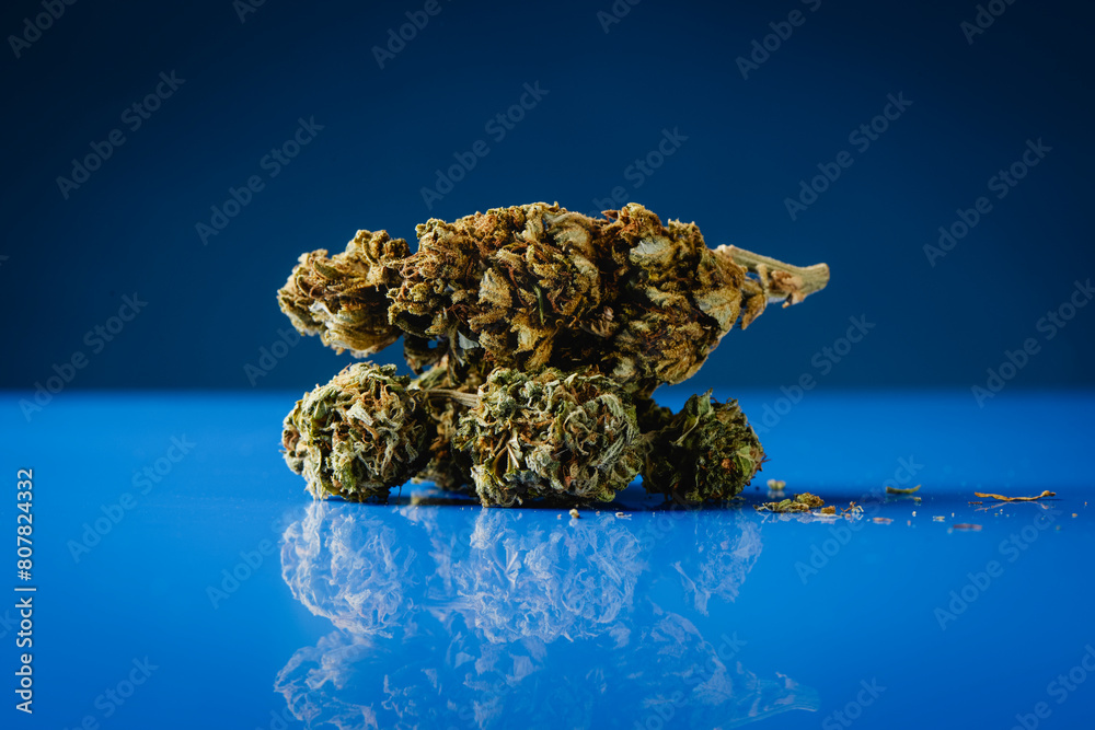 a pair of cannabis buds on a blue surface a pair of cannabis buds on a blue surface