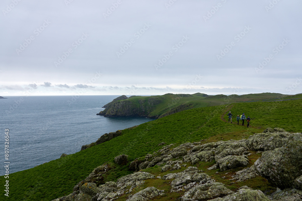 Flowers, Puffins and Rabits of Skomer Island in May-24, Wales, the UK Flowers, Puffins and Rabits of Skomer Island in May-24, Wales, the UK