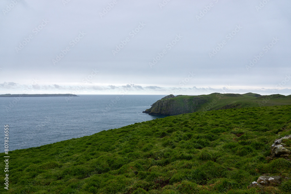 Flowers, Puffins and Rabits of Skomer Island in May-24, Wales, the UK