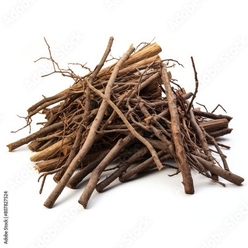 Branches pile isolated. Dry twigs pile ready for campfire, sticks, boughs heap for a fire