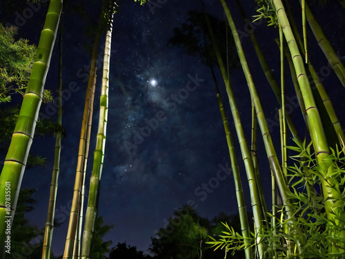 Bamboo forest and starry sky