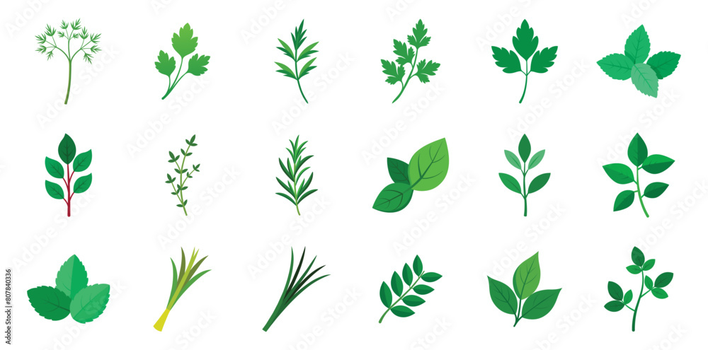 Collection of Culinary Herbs Icons in Flat Design, Vector Cartoon Illustration. Includes Basil, Rosemary, Mint, thyme, sage, chives, tarragon, dill, bay leaves, lemongrass. Collection of Culinary Herbs Icons in Flat Design, Vector Cartoon Illustration. Includes Basil, Rosemary, Mint, thyme, sage, chives, tarragon, dill, bay leaves, lemongrass.