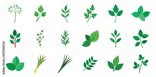Collection of Culinary Herbs Icons in Flat Design, Vector Cartoon Illustration. Includes Basil, Rosemary, Mint, thyme, sage, chives, tarragon, dill, bay leaves, lemongrass. photo