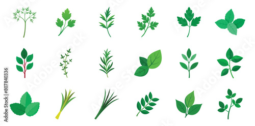 Collection of Culinary Herbs Icons in Flat Design, Vector Cartoon Illustration. Includes Basil, Rosemary, Mint, thyme, sage, chives, tarragon, dill, bay leaves, lemongrass.