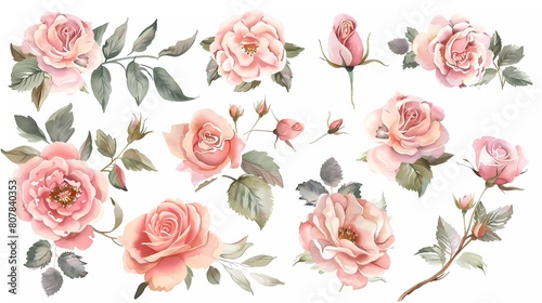 Watercolor pink flowers, flower clip art. Blush rose bouquets are perfect for printed designs on invitations, cards, wall art and more. Isolated on white background. 
