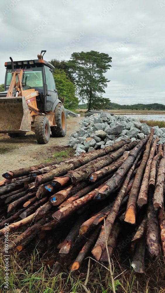 Fototapeta premium stack of firewood