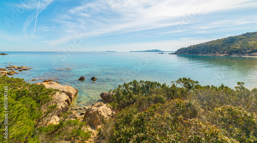 Wallpaper Mural Turquoise water and plants in Punta Molentis beach Torontodigital.ca