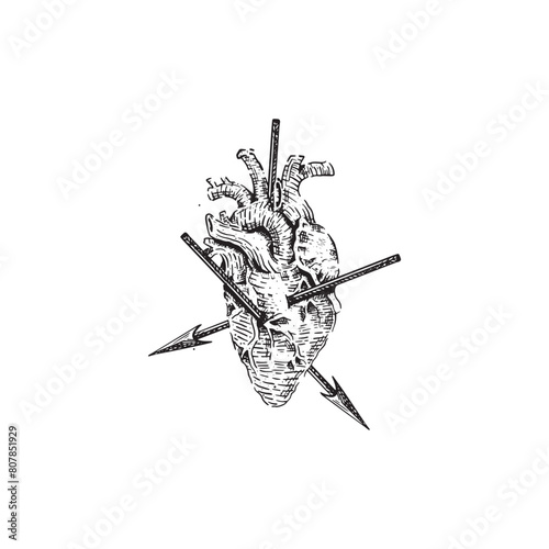 Hand drawn vintage a heart pierced by a spear vector illustration