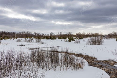 Wallpaper Mural A winding small river in the middle of a snowy field, a winter landscape on a cloudy day, the concept of changing nature, a winding stream, a winding line composition in space Torontodigital.ca