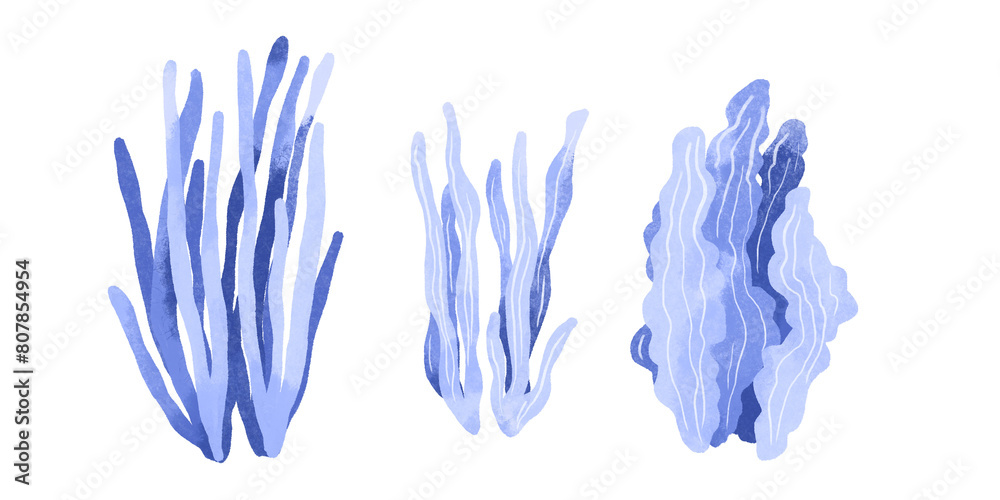 Blue algae. Hand drawn watercolor illustration of the underwater world on an isolated background. Seaweed and corals. Oceania Blue algae. Hand drawn watercolor illustration of the underwater world on an isolated background. Seaweed and corals. Oceania