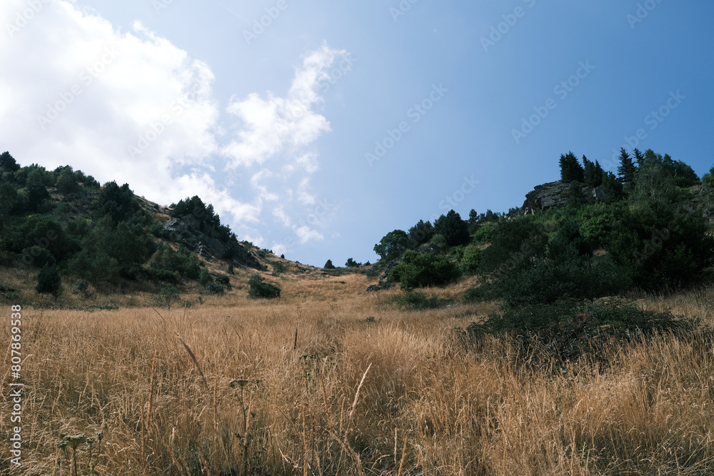 Fototapeta premium landscape with sky