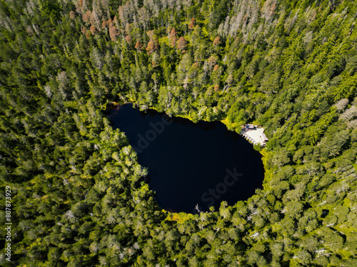 Aerial drone view of Velke mechove jezirko, local moss lake with green trees in Rejviz, Czech Republic photo