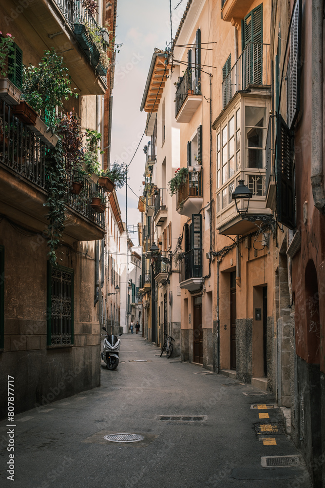 Fototapeta premium street in the town