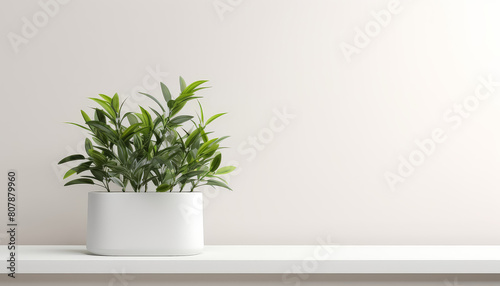 A small potted plant sits on a wooden table © terra.incognita