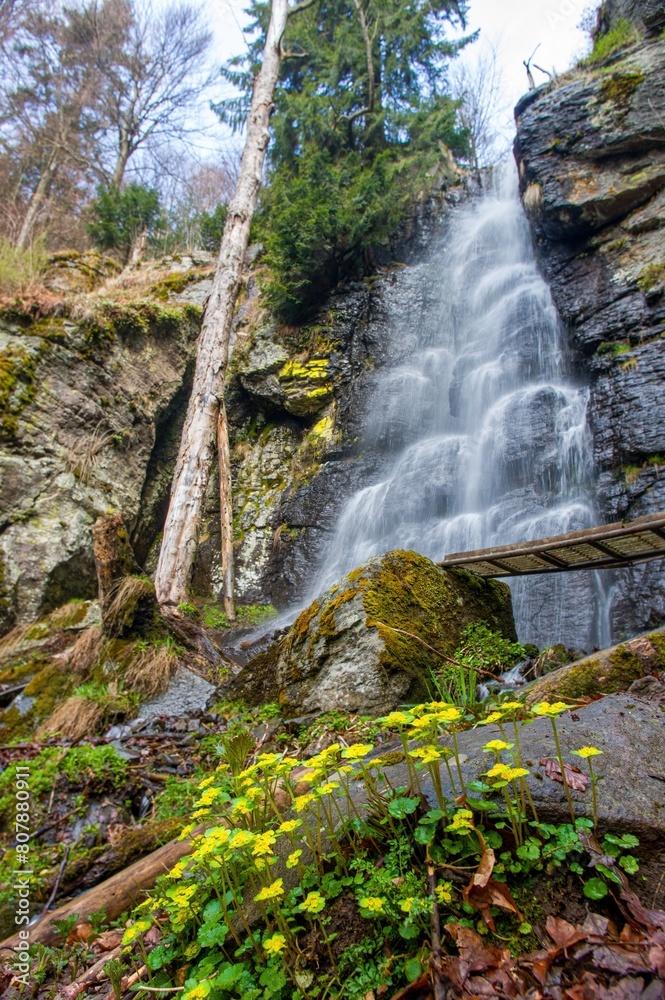 Obraz premium Spring snow melting in the waterfall. Bystre waterfall, Polana mountains, Slovak republic. Hiking theme. Seasonal natural scene. Celebration of pure spring water