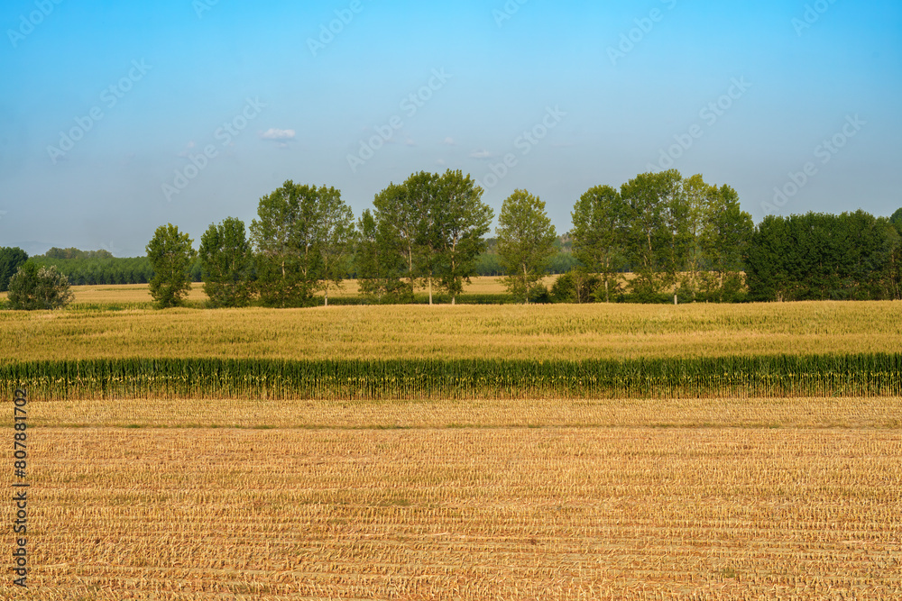 Country landscape in Lodi province, Italy, at summer