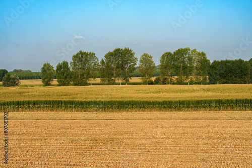 Country landscape in Lodi province  Italy  at summer