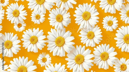 Bright Daisy Pattern on Yellow Background: Vibrant Floral Design 
