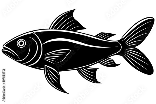 fish-skin-silhouette-white-background  vector illustration 