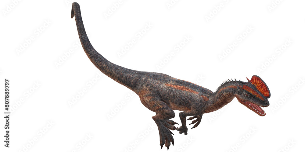 Obraz premium Dilophosaurus on a Transparent Background