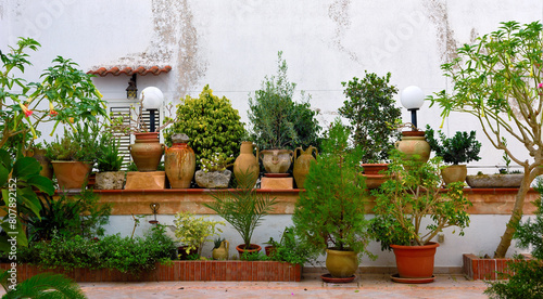 picturesque houses in the historic center of patù salento italy photo